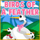 birds, feather, s�den, fliege, den s�den, feather fliege
