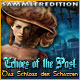 Echoes of the Past: Das Schloss der Schatten Sammleredition. Finde das k�nigliche Amulett!