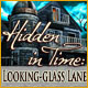 Hidden in Time: Looking-glass Lane. Reise in die Vergangenheit zur�ck und rette Leben!
