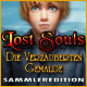Lost Souls: Die verzauberten Gem�lde Sammleredition. Finde Bellas Sohn!