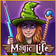Magic Life. Werde zu einem m�chtigen Zauberer!