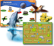 Play games that test your animal smarts, quick thinking, and instincts, on your quest to win animals from all across the globe!