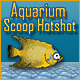 Aquarium Scoop Hotshot