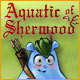 Aquatic of Sherwood. Puzzle your way to the missing bride.