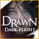 Drawn: Dark Flight ® Game