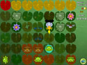 Frogs
