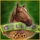Gallop for Gold. This really is the mane event!