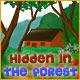 Hidden in the Forest
