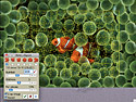 Jigsaws Galore game screenshot