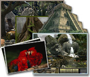 Explore the exotic rainforest to find valuable clues and follow the trail of a missing National Geographic researcher!