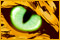 NightShift Legacy: The Jaguar’s Eye