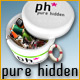 Pure Hidden Game