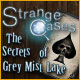 Strange Cases: The Secrets of Grey Mist Lake Game