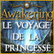 Awakening: Le Voyage de la Princesse. Retrouvez votre peuple.
