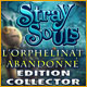 Stray Souls: L'Orphelinat Abandonn� Edition Collector. Retrouvez votre mari qui a�t� enlev�.